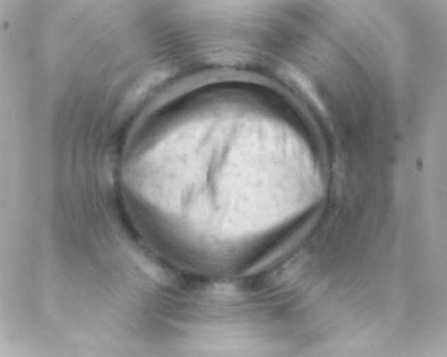 X0000088650114200706152017