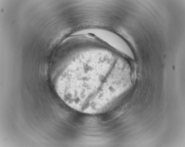 X0000088650115200706152017