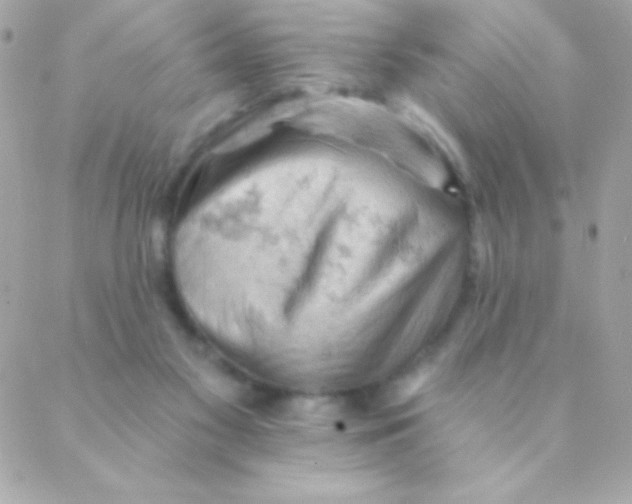 X0000088650117200706152017