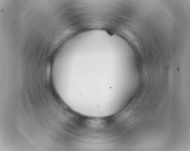 X0000088650118200706152017