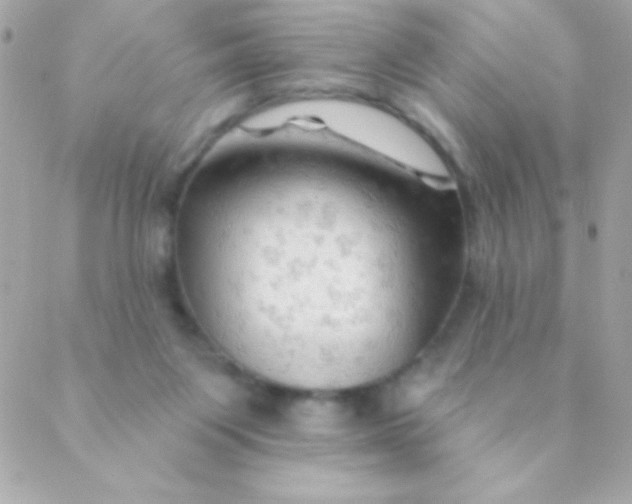 X0000088650119200706152017