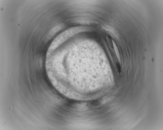 X0000088650120200706152017