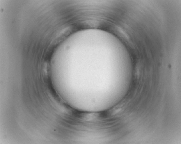 X0000088650122200706152017