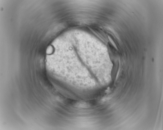 X0000088650123200706152017