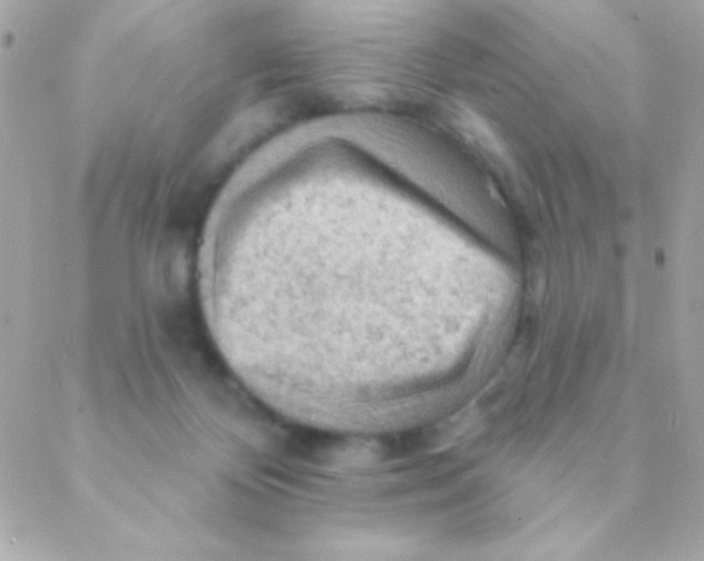 X0000088650124200706152017