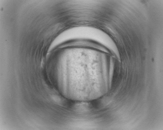 X0000088650125200706152017