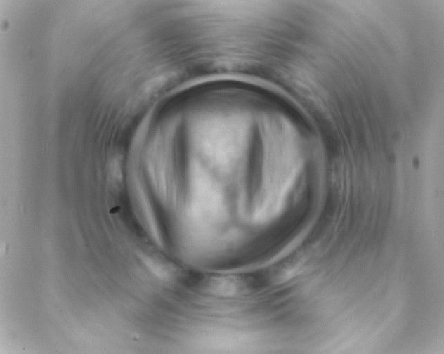 X0000088650127200706152017