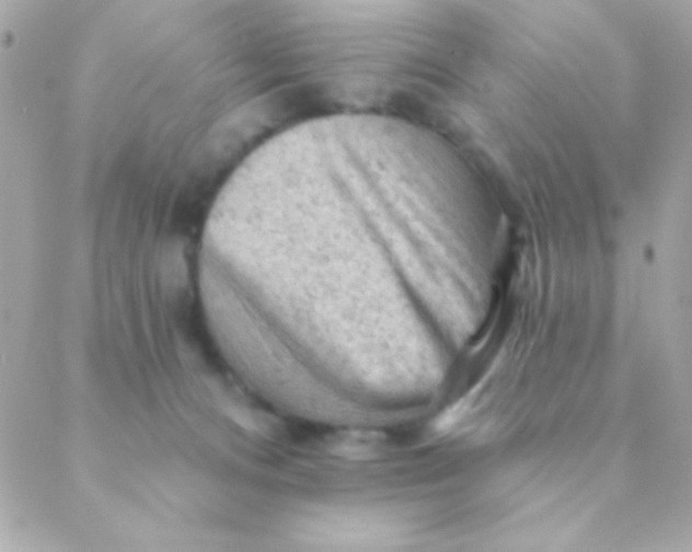 X0000088650128200706152017