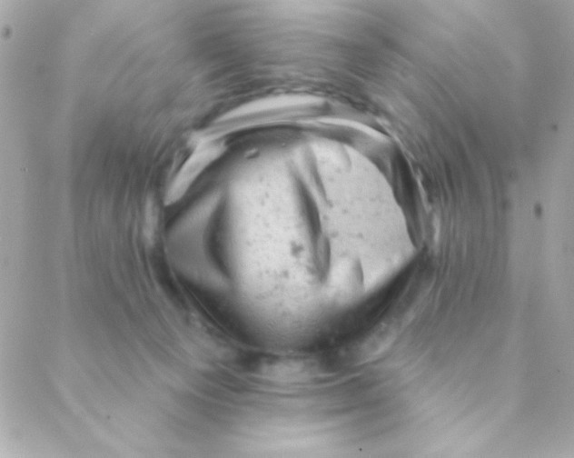 X0000088650129200706152017