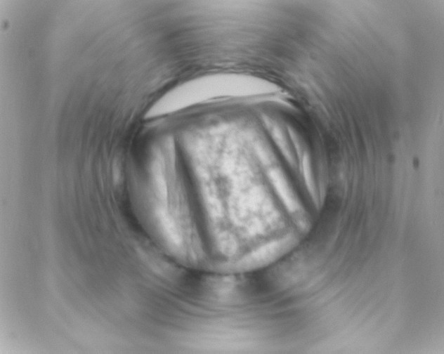 X0000088650131200706152017