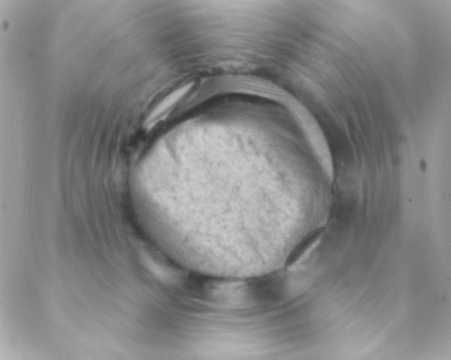 X0000088650132200706152017