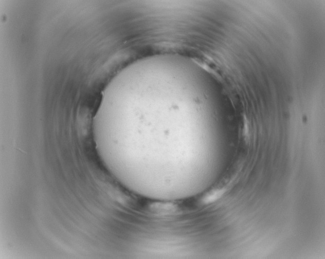 X0000088650133200706152017