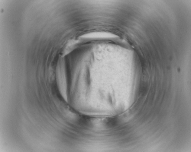 X0000088650136200706152017