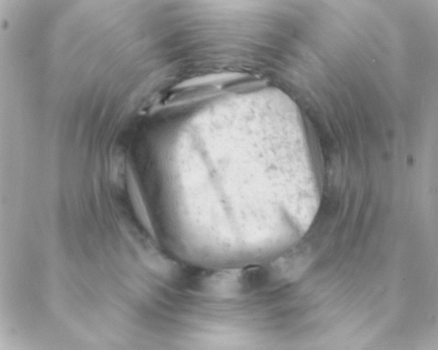 X0000088650138200706152017