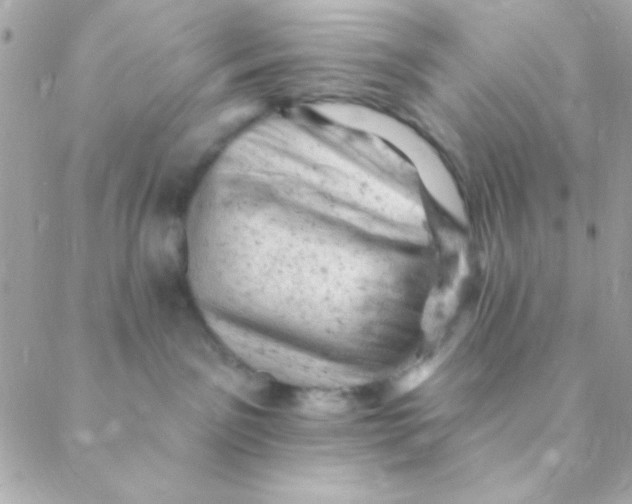 X0000088650141200706152017