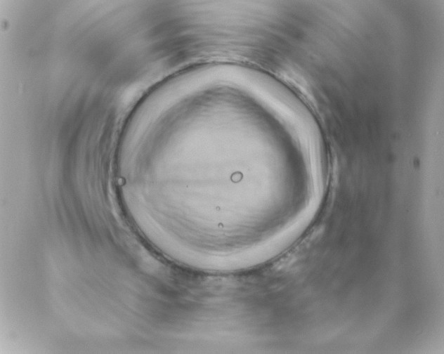 X0000088650145200706152016