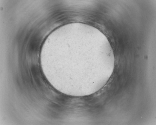 X0000088650146200706152016