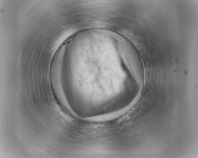 X0000088650147200706152016