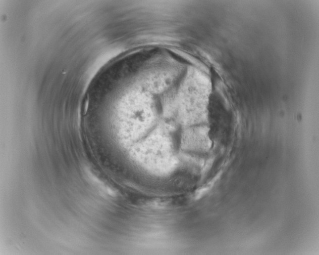 X0000088650148200706152016