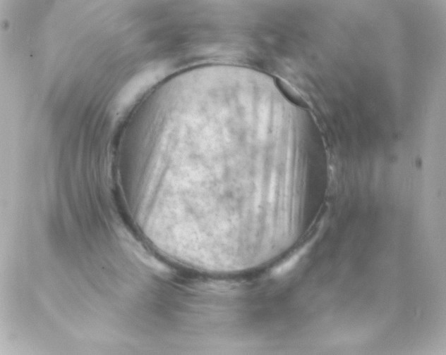 X0000088650149200706152016