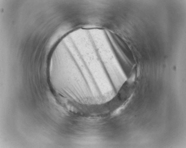 X0000088650150200706152016