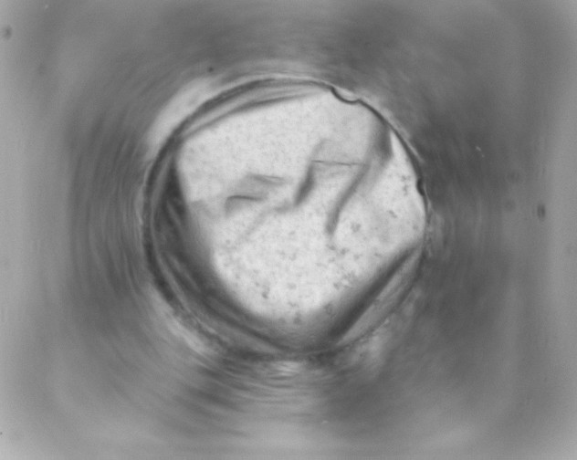 X0000088650151200706152016