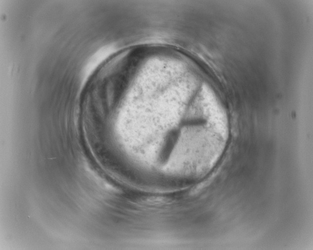 X0000088650152200706152016