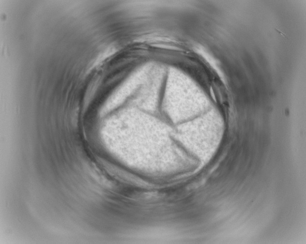 X0000088650153200706152016