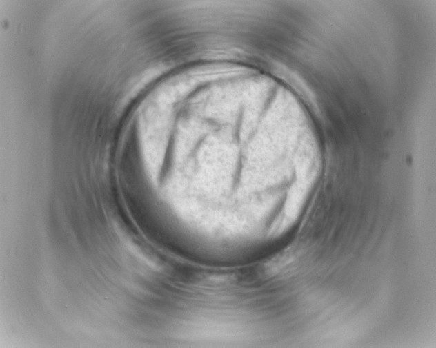 X0000088650155200706152016