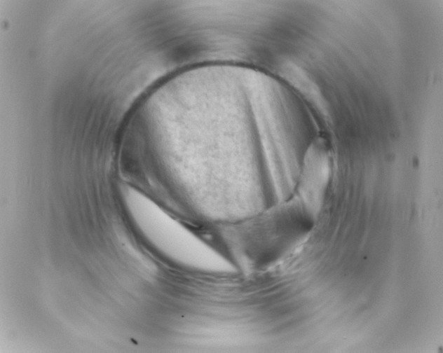 X0000088650156200706152016