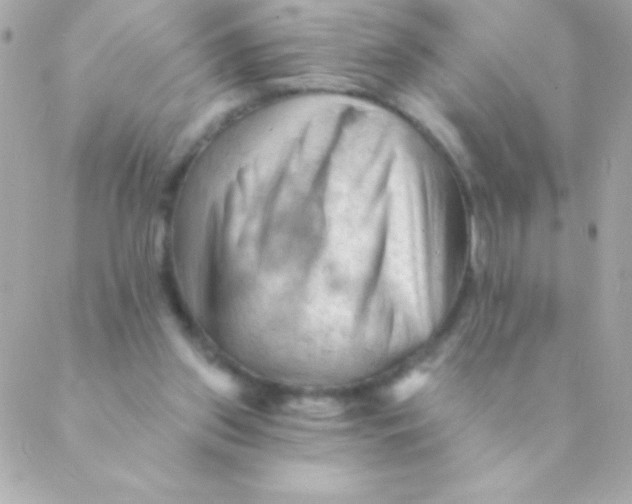 X0000088650157200706152016