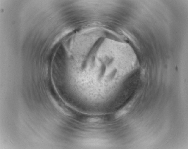 X0000088650158200706152016