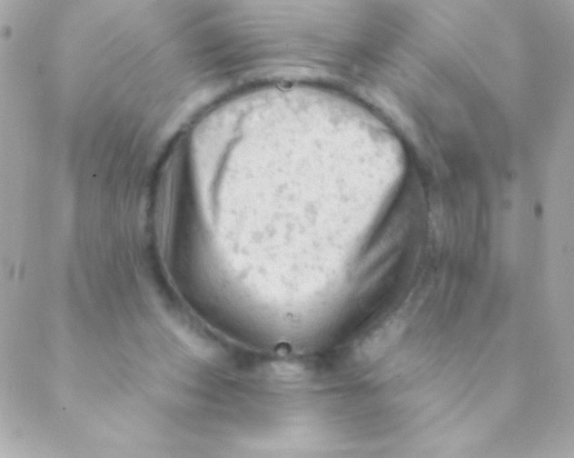 X0000088650159200706152016