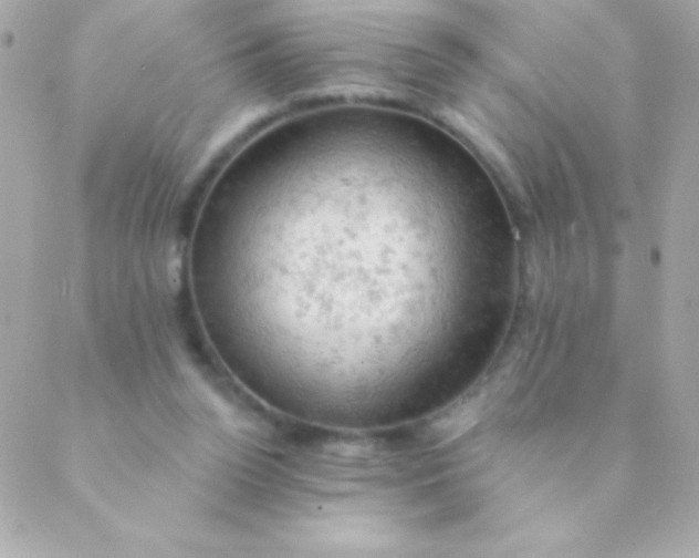 X0000088650160200706152016