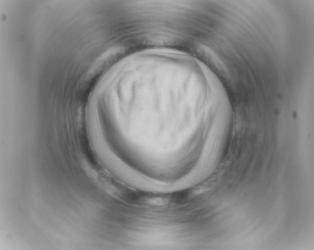 X0000088650163200706152016