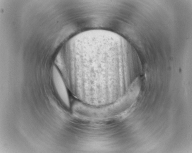 X0000088650164200706152016