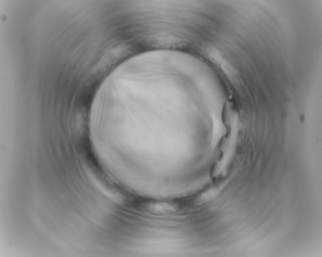 X0000088650165200706152016