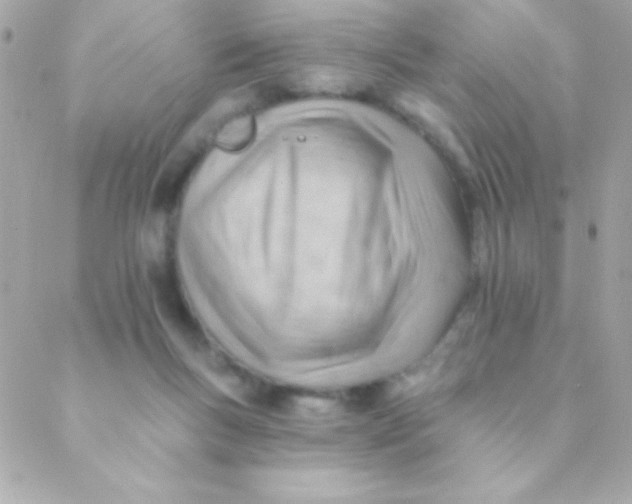 X0000088650167200706152016