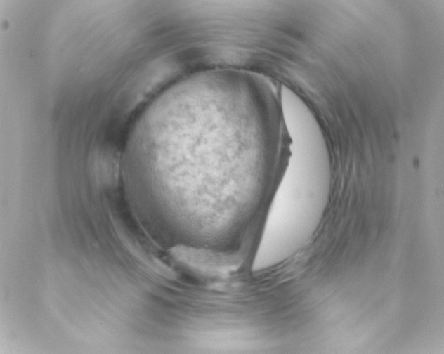 X0000088650168200706152016