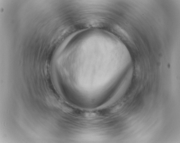 X0000088650169200706152016