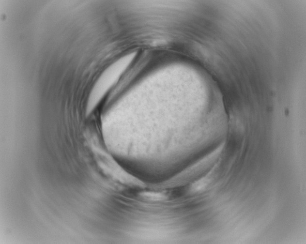 X0000088650170200706152016