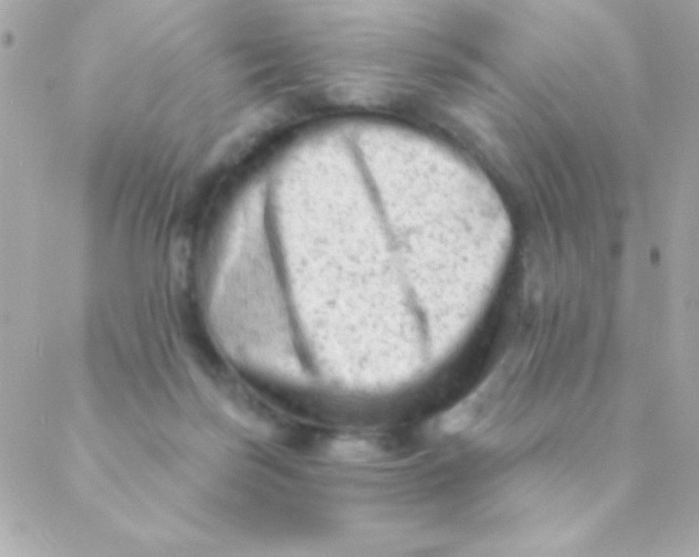 X0000088650171200706152016