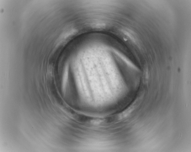 X0000088650172200706152016