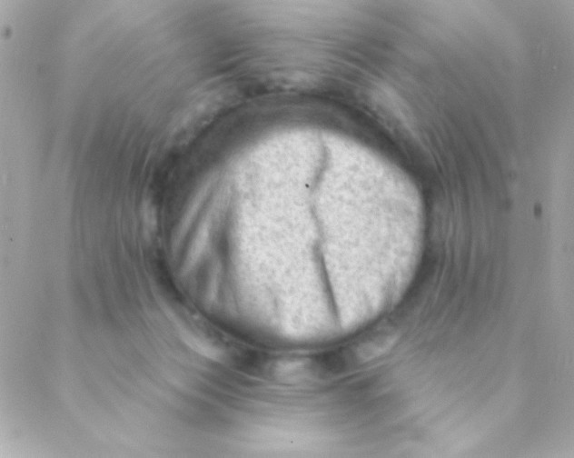 X0000088650173200706152016