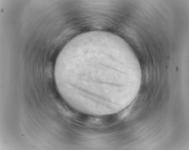 X0000088650174200706152016