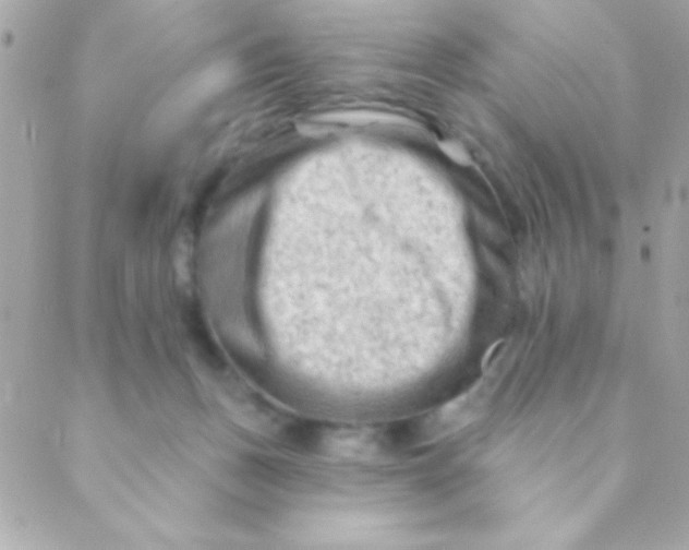 X0000088650175200706152016