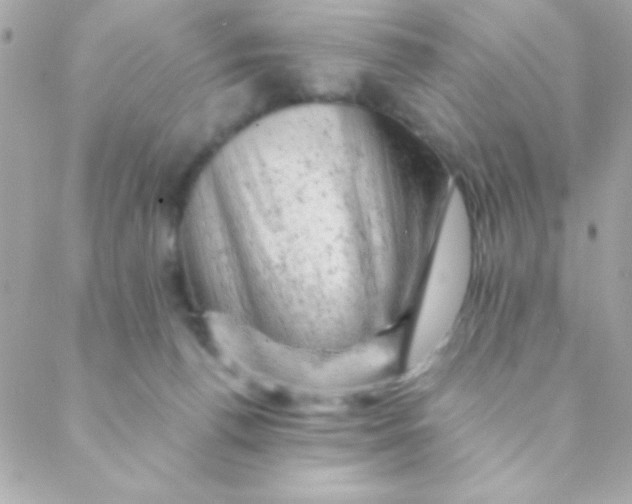 X0000088650176200706152016