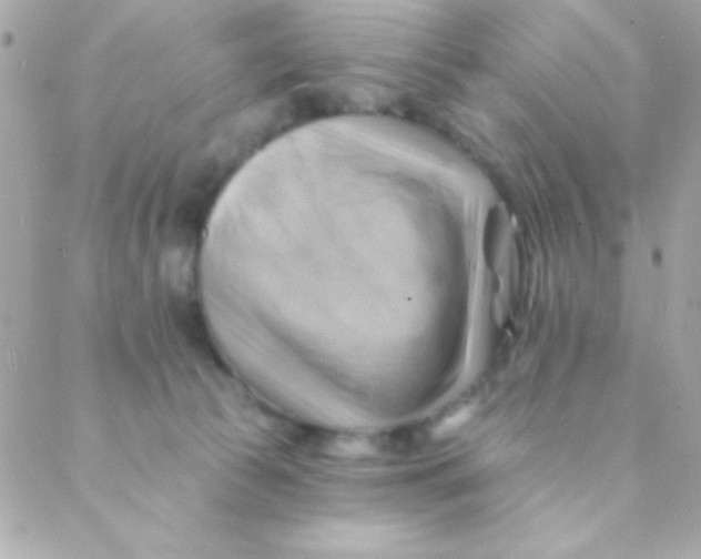 X0000088650177200706152016