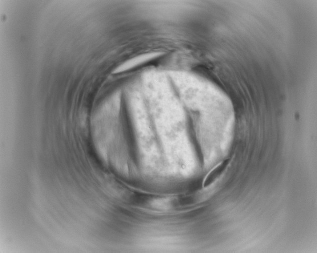 X0000088650178200706152016