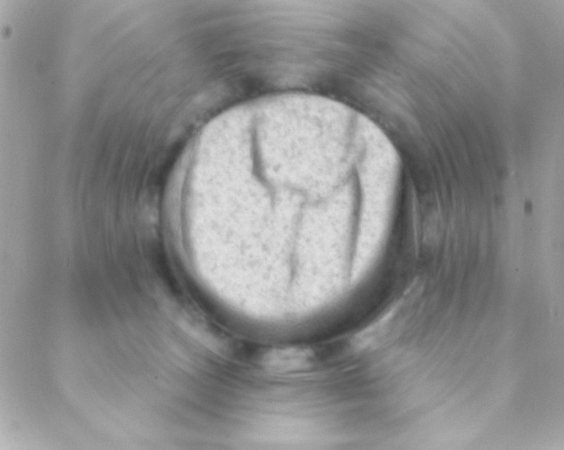 X0000088650179200706152016